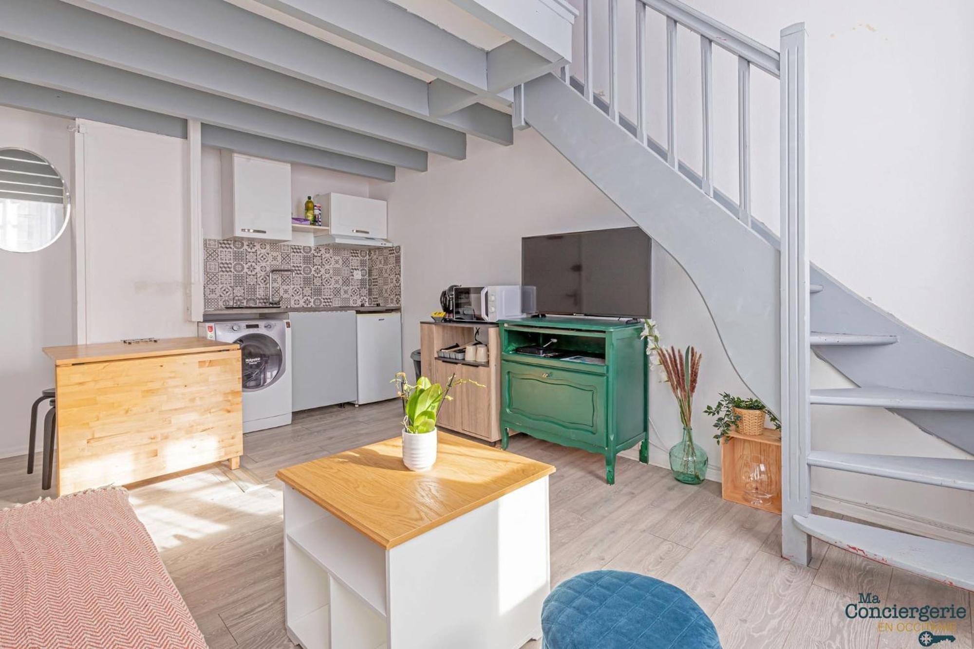 Апартаменти Duplex Champetre : Gare, Marche, Hypercentre Тулуза Екстер'єр фото