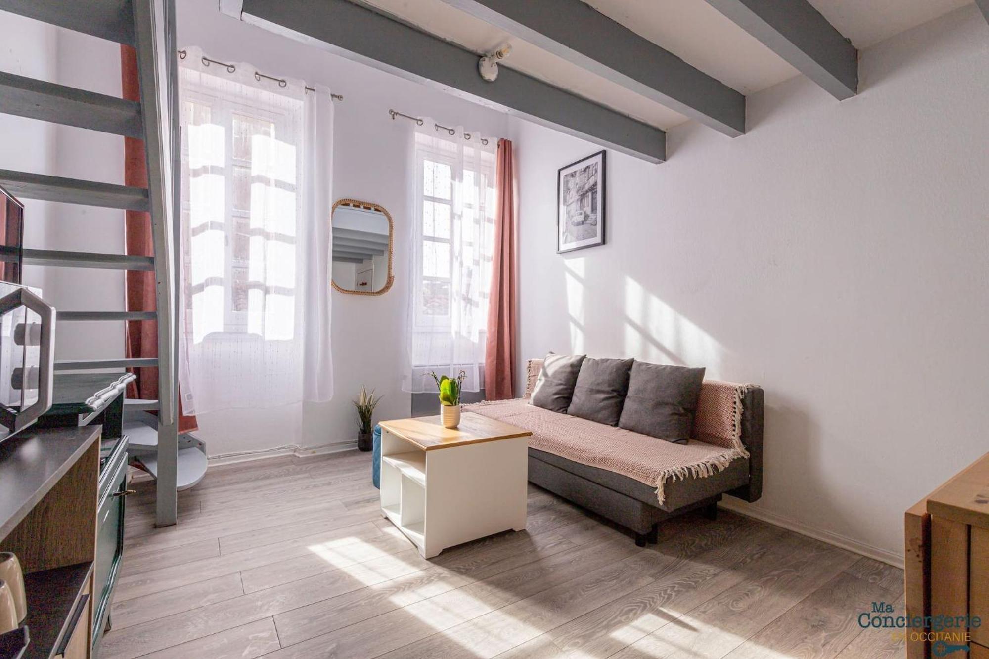 Апартаменти Duplex Champetre : Gare, Marche, Hypercentre Тулуза Екстер'єр фото