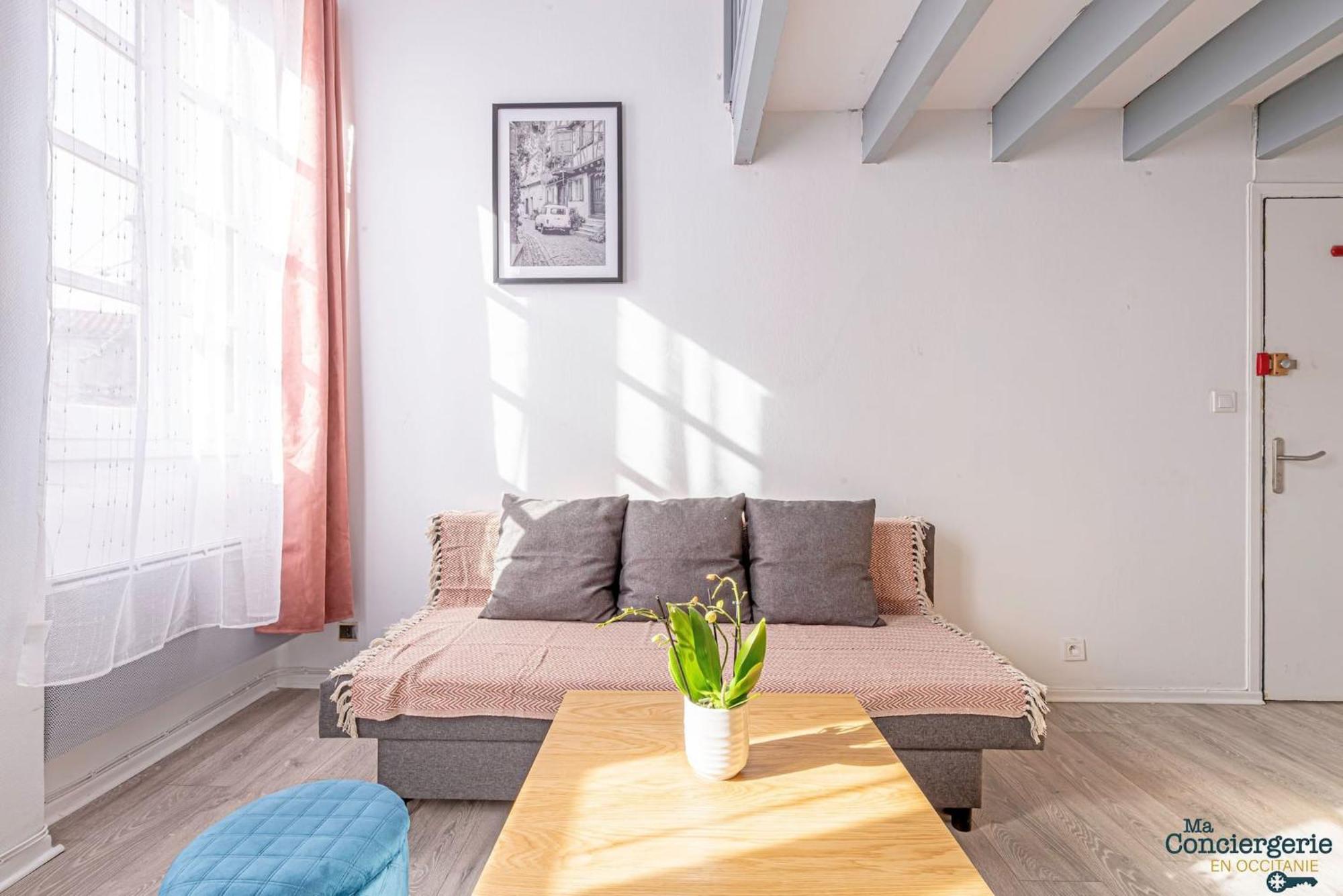Апартаменти Duplex Champetre : Gare, Marche, Hypercentre Тулуза Екстер'єр фото