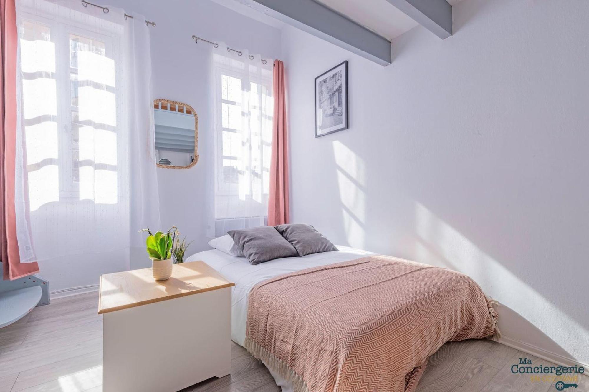 Апартаменти Duplex Champetre : Gare, Marche, Hypercentre Тулуза Екстер'єр фото