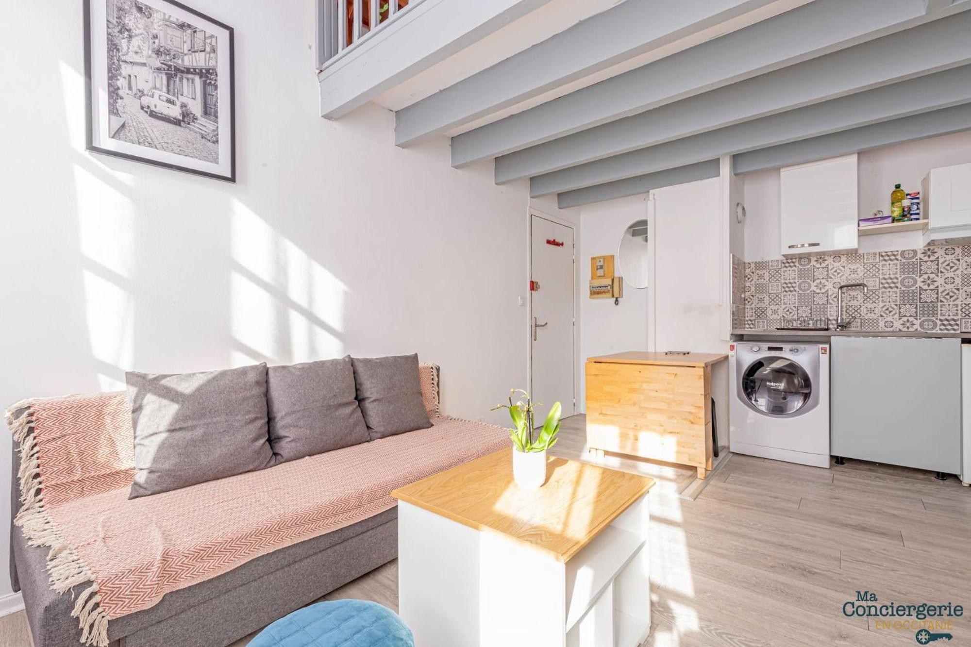 Апартаменти Duplex Champetre : Gare, Marche, Hypercentre Тулуза Екстер'єр фото