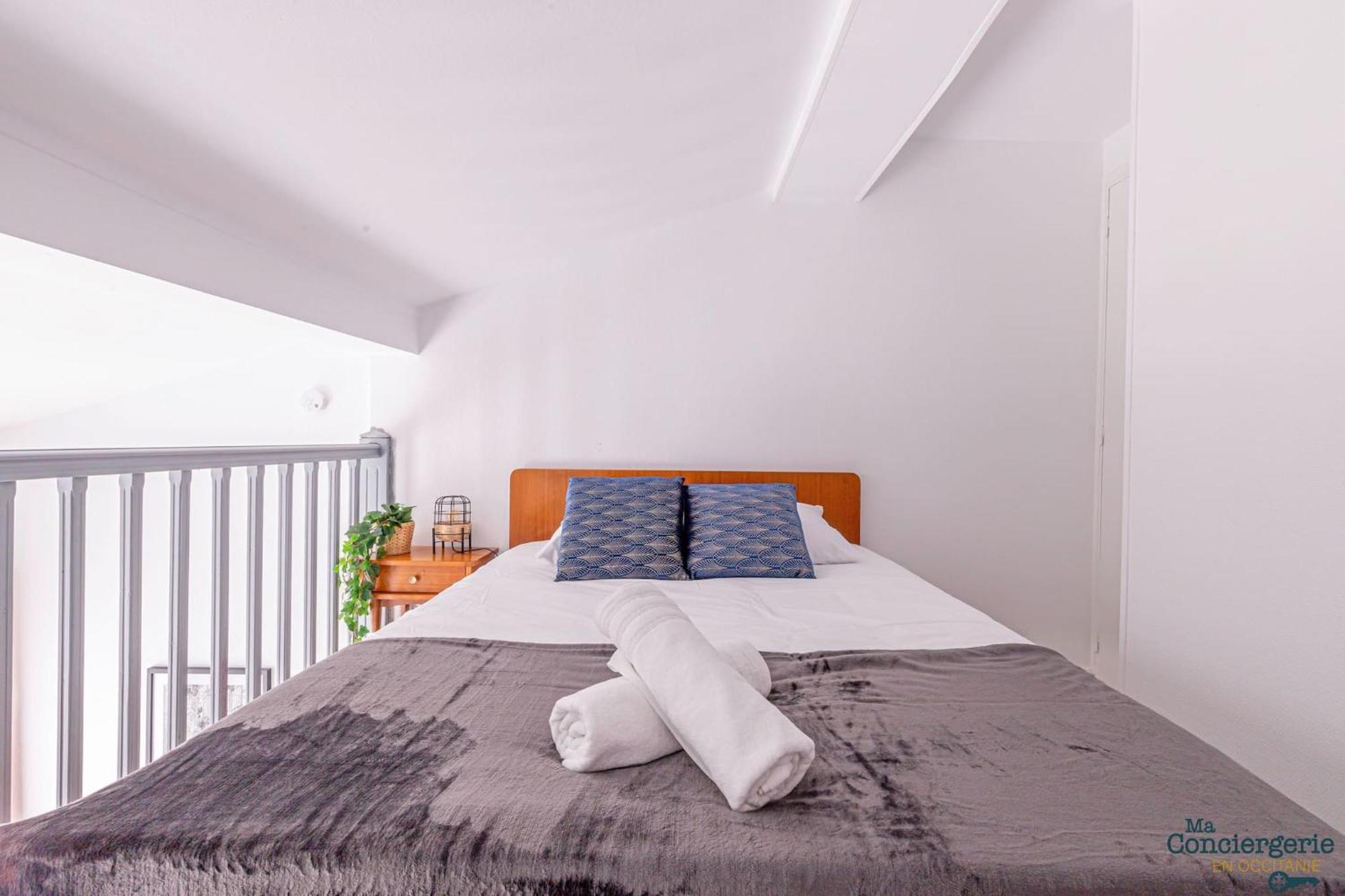 Апартаменти Duplex Champetre : Gare, Marche, Hypercentre Тулуза Екстер'єр фото